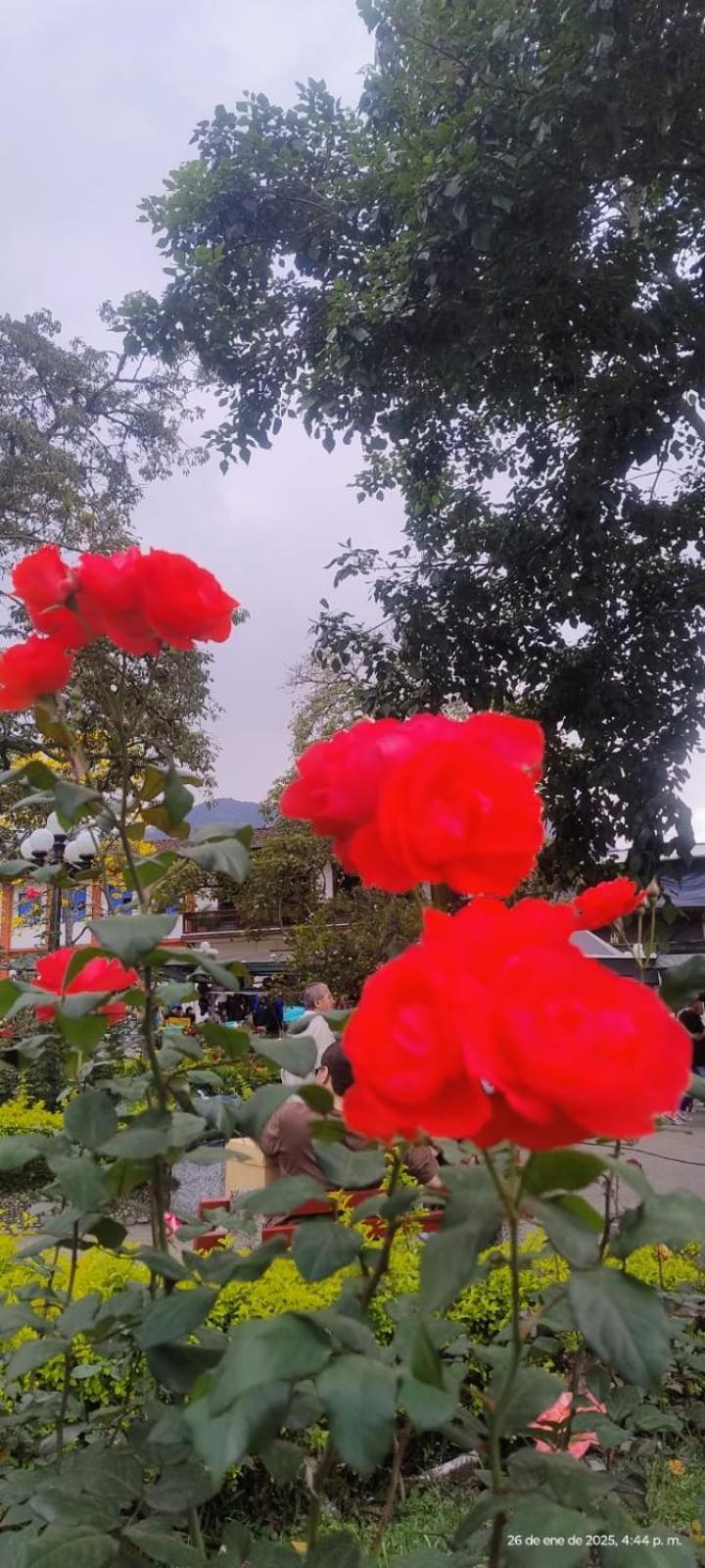 Europa Ecotours Ξενοδοχείο Jardín Εξωτερικό φωτογραφία